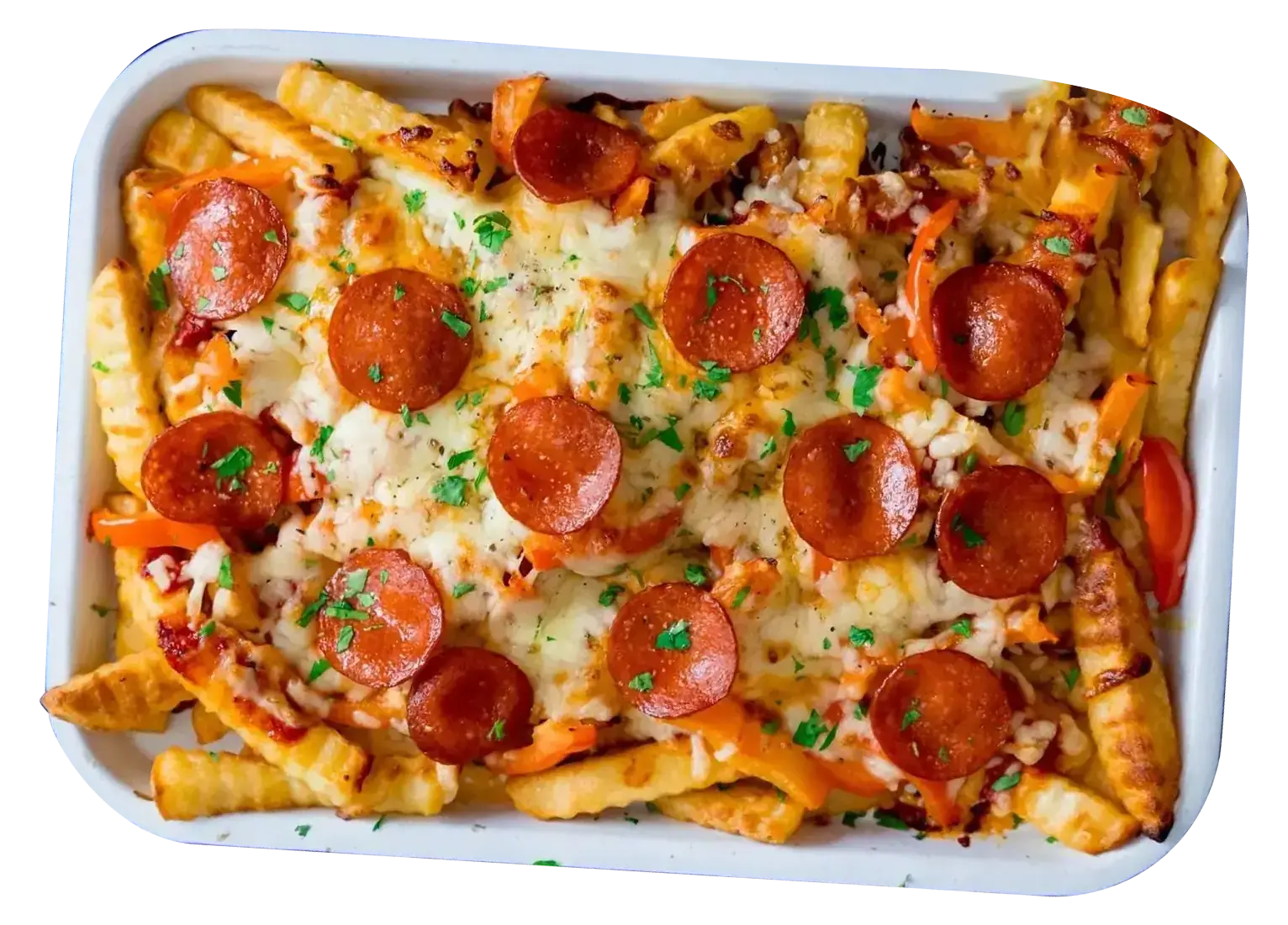 French fries with cheddar cheese dip with sausage