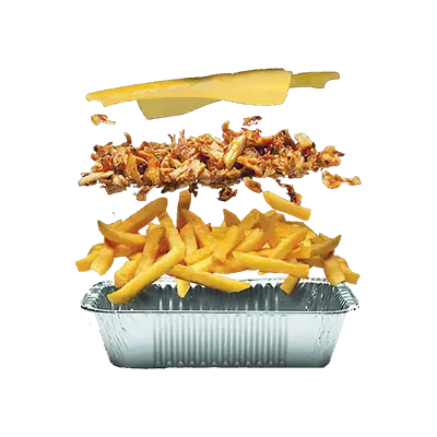 Special Crispy Fries