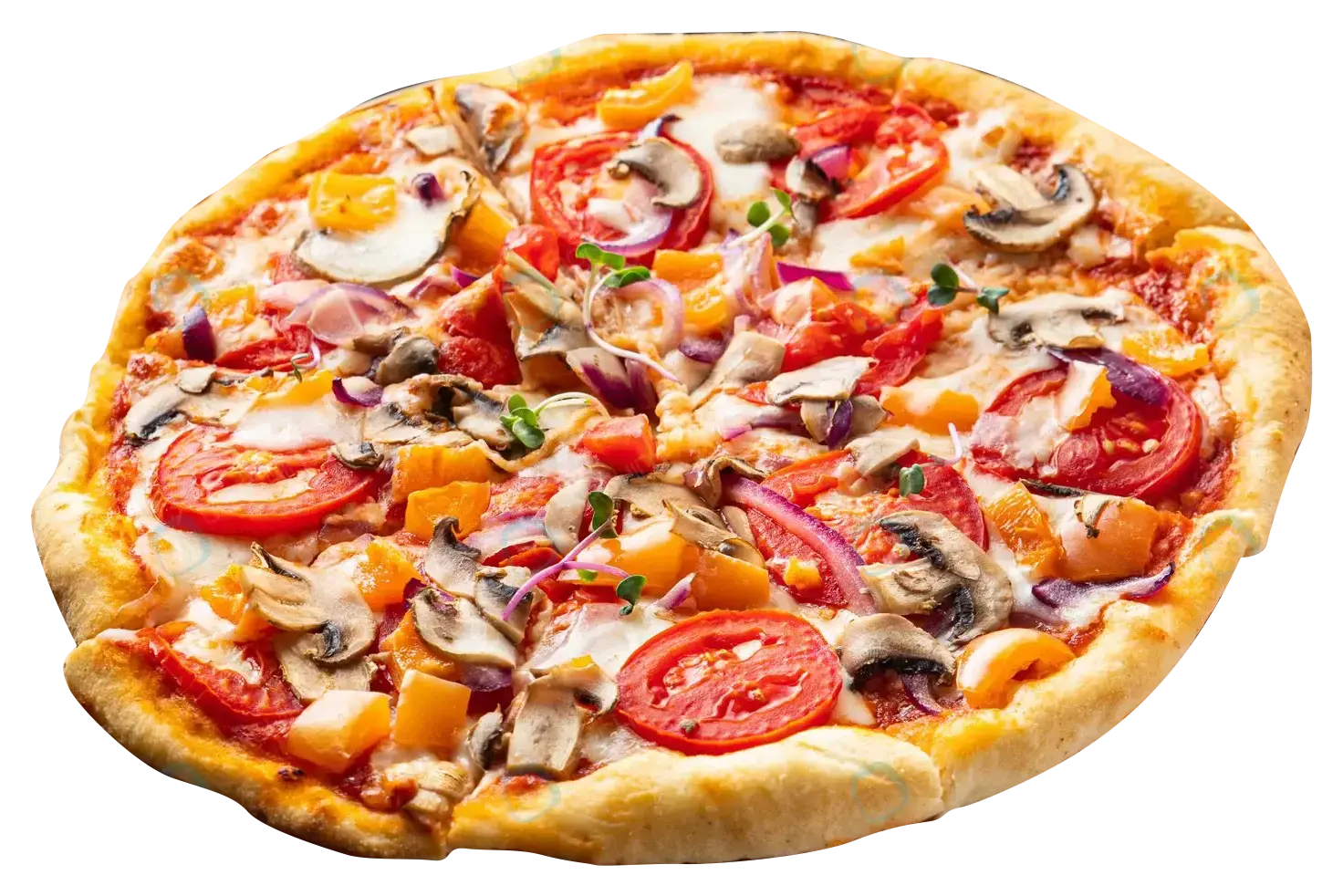 Nostalgica Pizza(تک نفره)